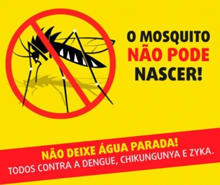 Combate ao Aedes pode ser mais eficiente durante o frio