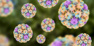 Mitos e verdades sobre cncer de colo de tero e HPV