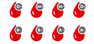 Dia Mundial do Doador de Sangue: seja um doador