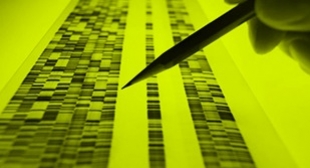 O mistrio do ′genoma obscuro′ que compe 98% do nosso DNA