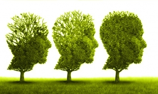 Qual a diferena entre Alzheimer e demncia?